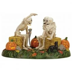 Department 56 Scary Skeleton Stories From Dept 56 Halloween Snow Village